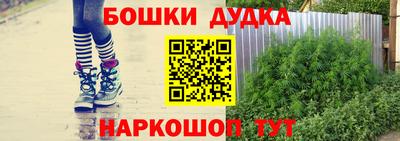 прущие крисы Будённовск