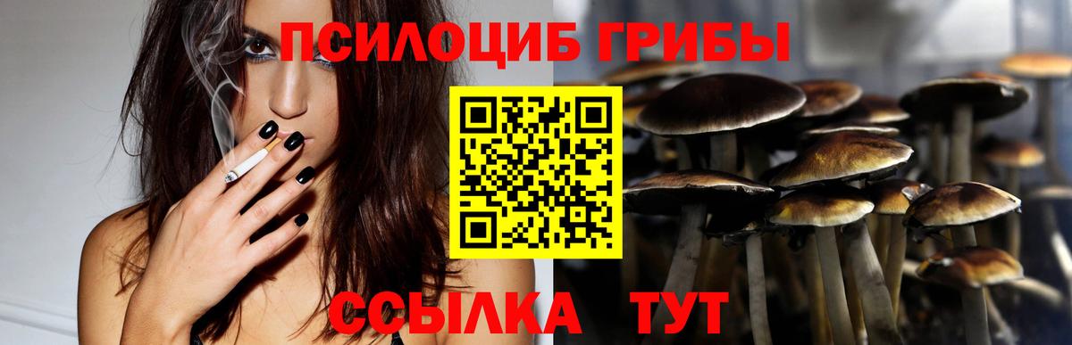 Галлюциногенные грибы ЛСД  Вход с VPN  Галлюциногенные грибы Psilocybine cubensis  Красный Сулин 
